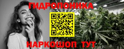 спиды Кинель