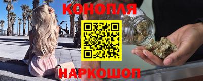мет Кингисепп