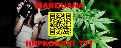 мет Кингисепп