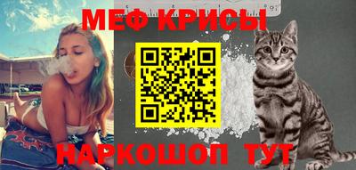мет Кингисепп